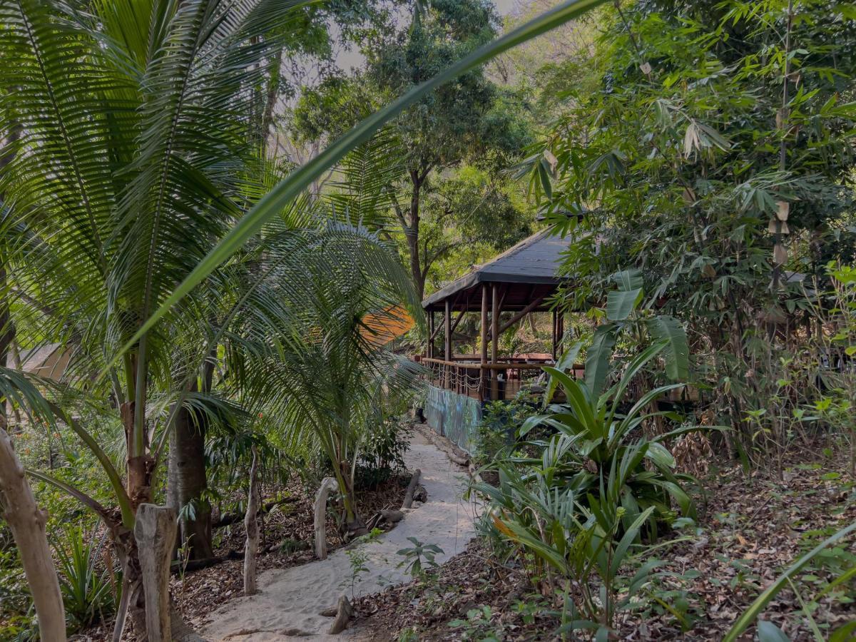 Los Vivos Beachfront Experience Pochote Eksteriør billede
